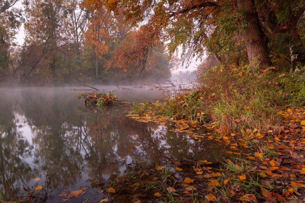 Photograph by Lukas Kulla