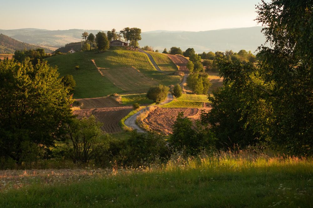 Photograph by Lukas Kulla