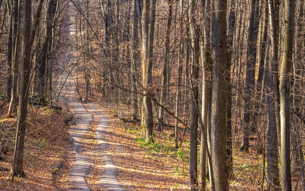 Photograph by Вадим Мелихов