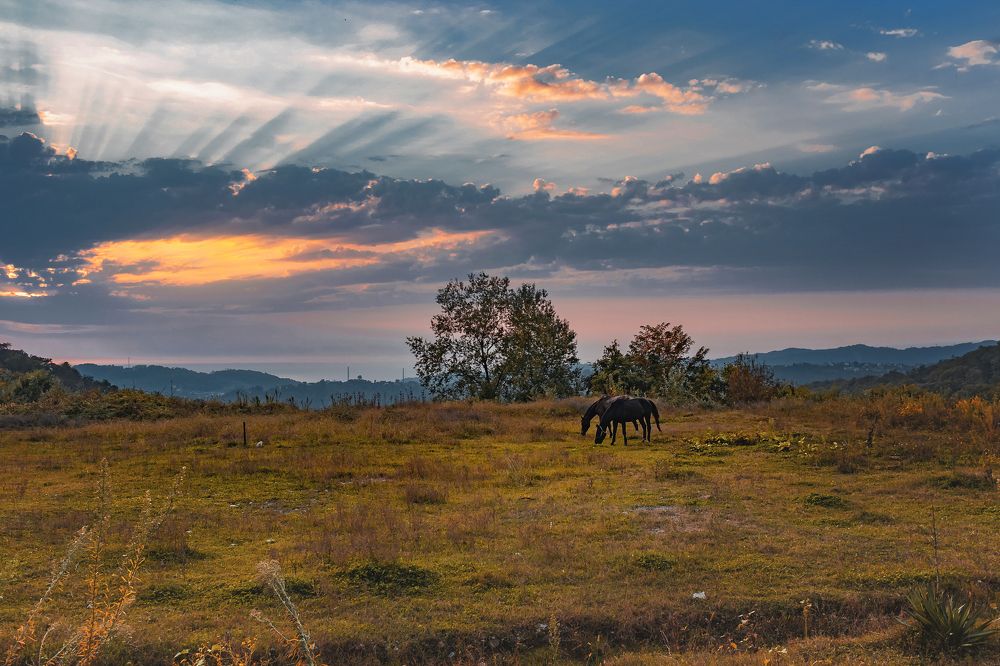 Photograph by Виталий Шкадинов