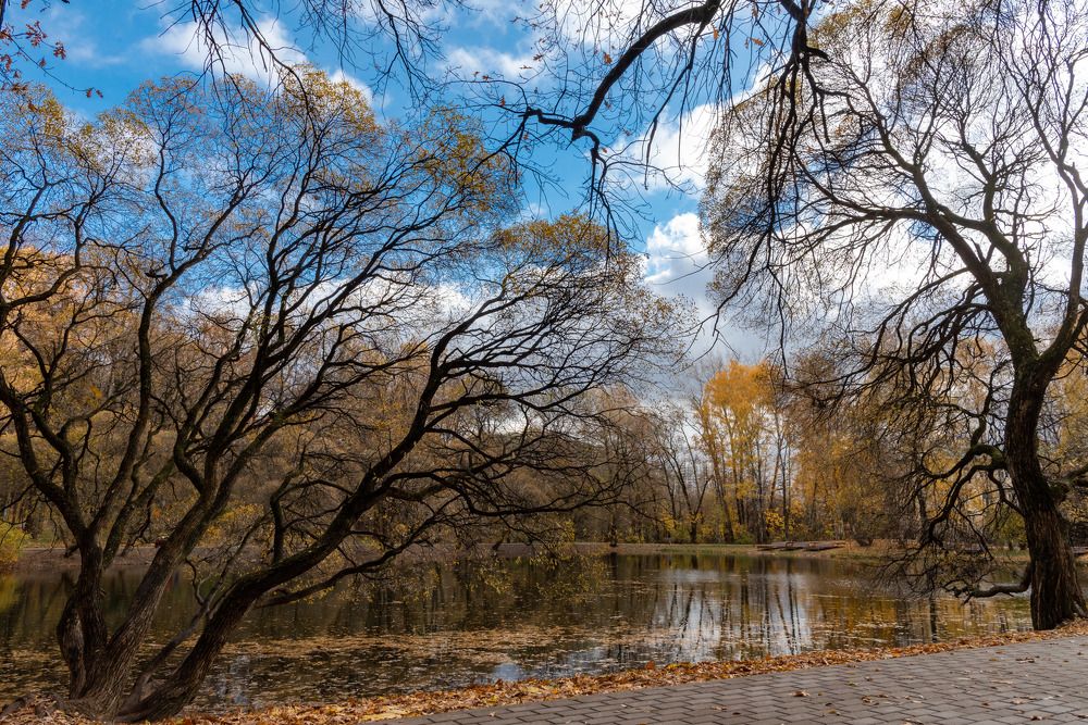 Photograph by Галина Баранова