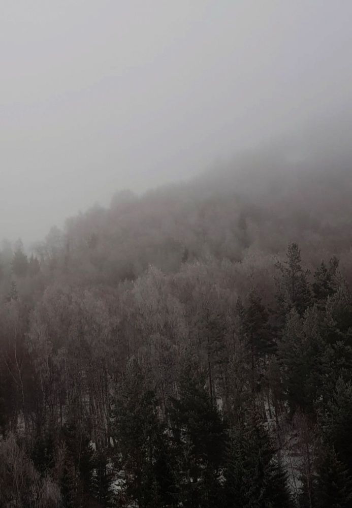 Photograph by Татьяна Киселева