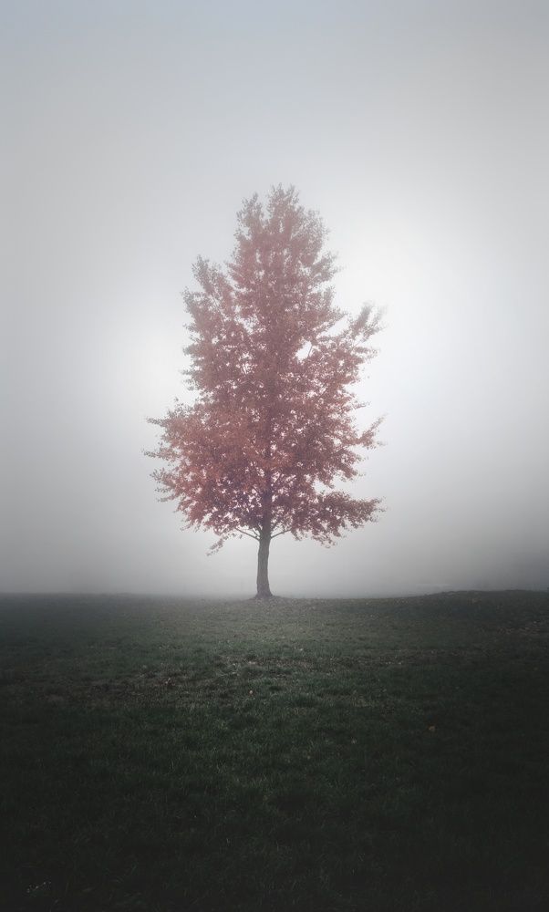 Фотография автора Геннадий Ломеко