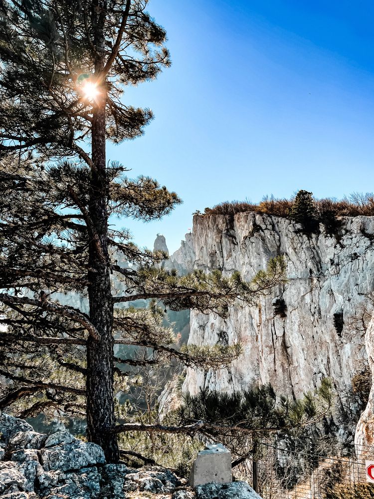 Photograph by Олеся Семенова