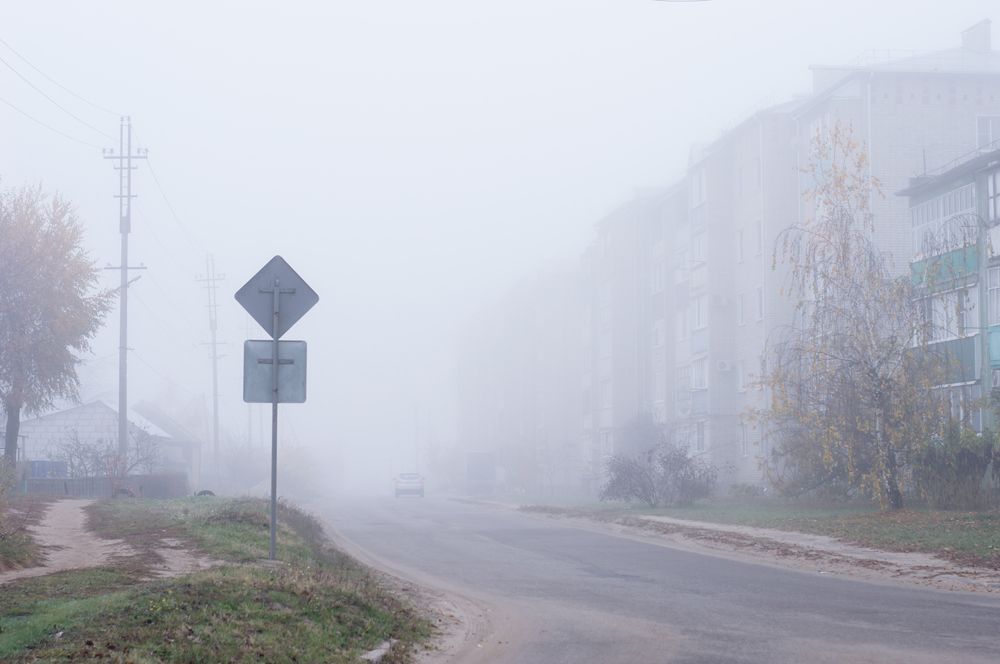 Photograph by Светлана Гок