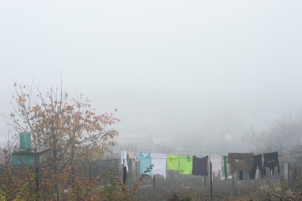 Photograph by Светлана Гок