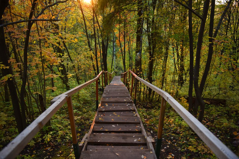 Лестница в осень