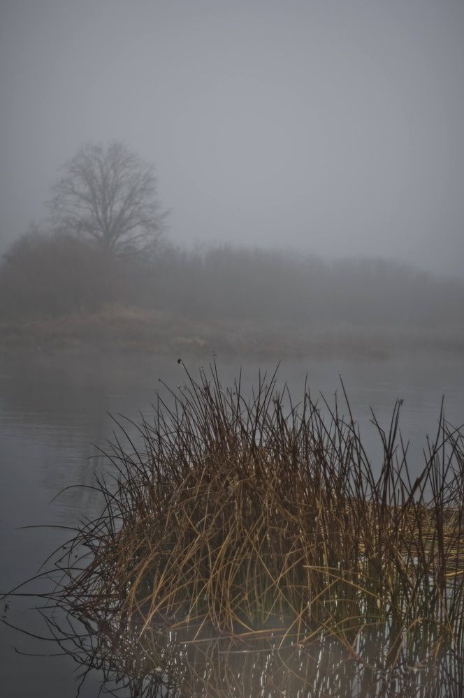 Photograph by Дмитрий Жуков