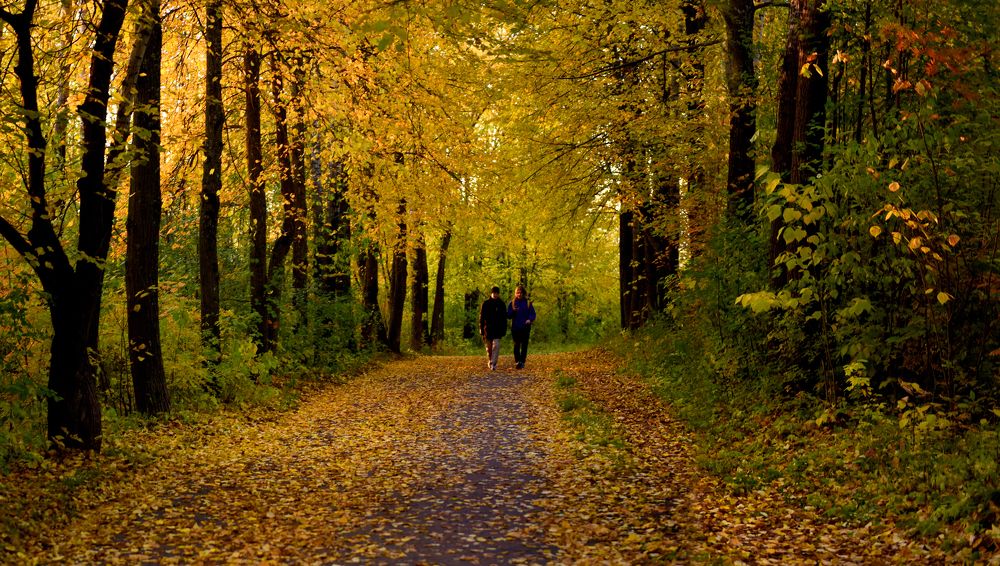 Вечерняя прогулка