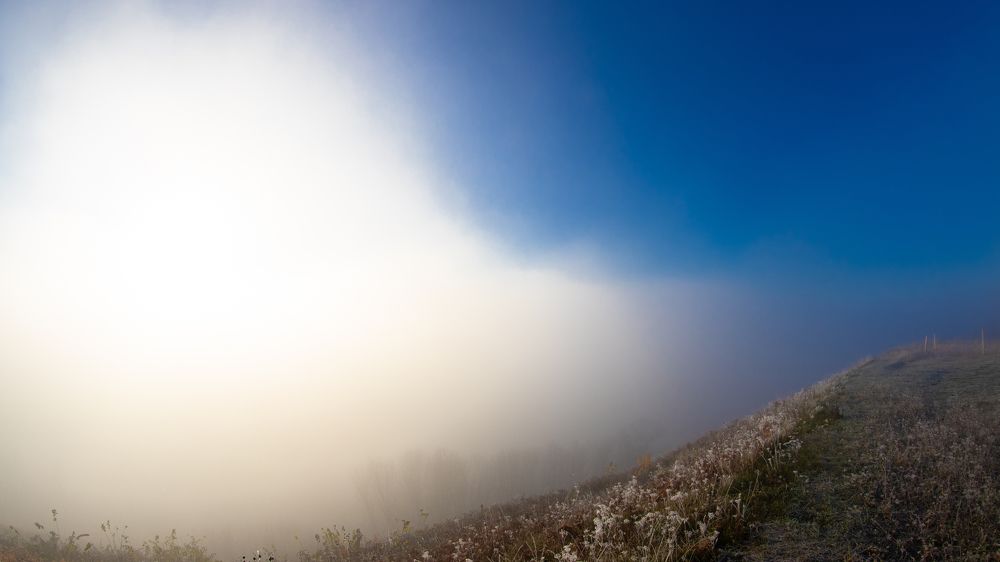 Photograph by Константин Ложеницын