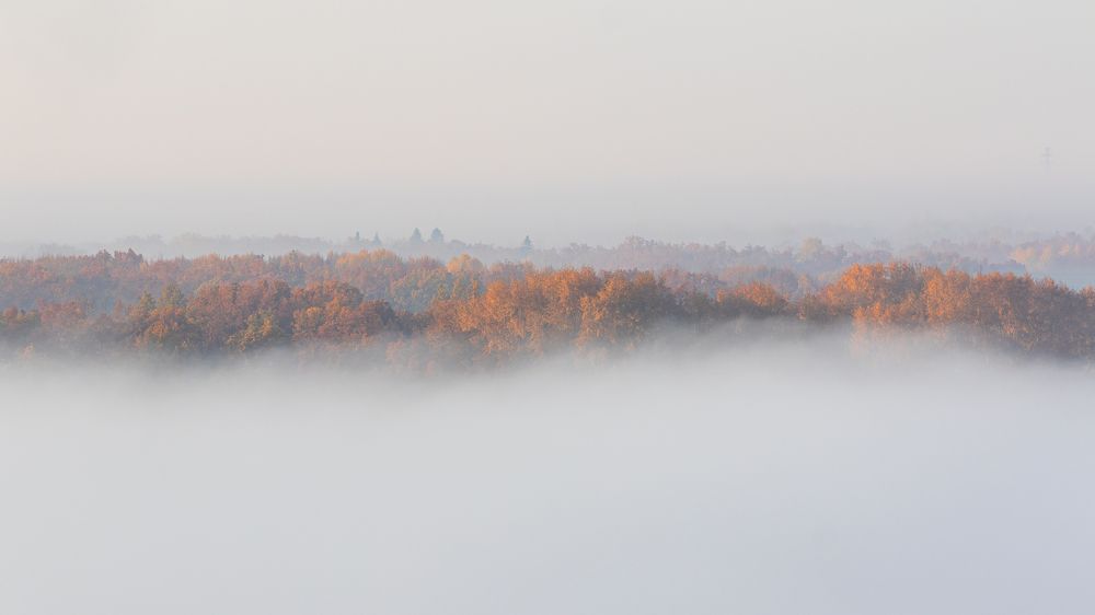 Photograph by Константин Ложеницын