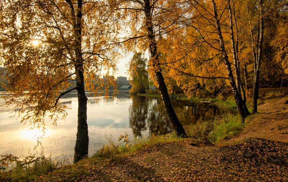 Photograph by Олег Пученков