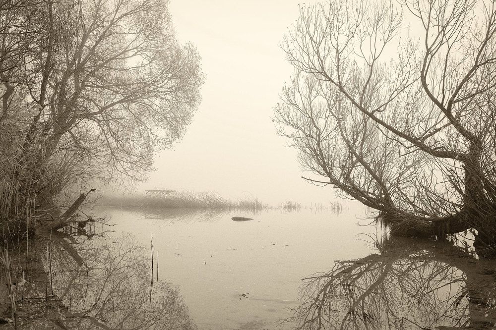 Photograph by Александр Остапчук