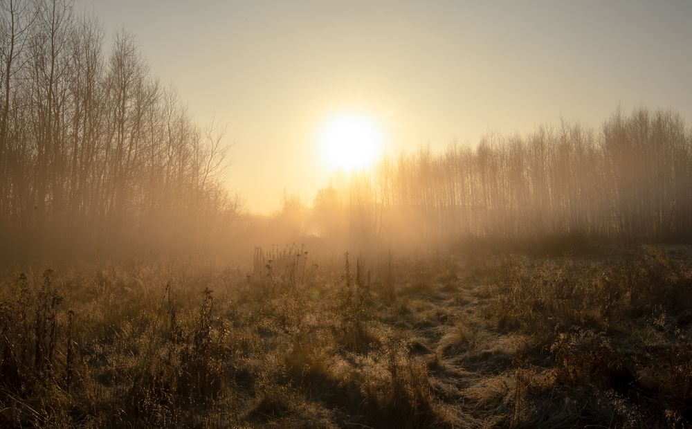 Photograph by Олег Пученков