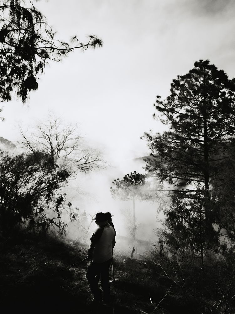 Photograph by Jose Manuel