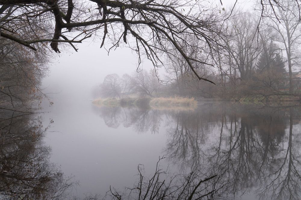 Photograph by Алена Устинович