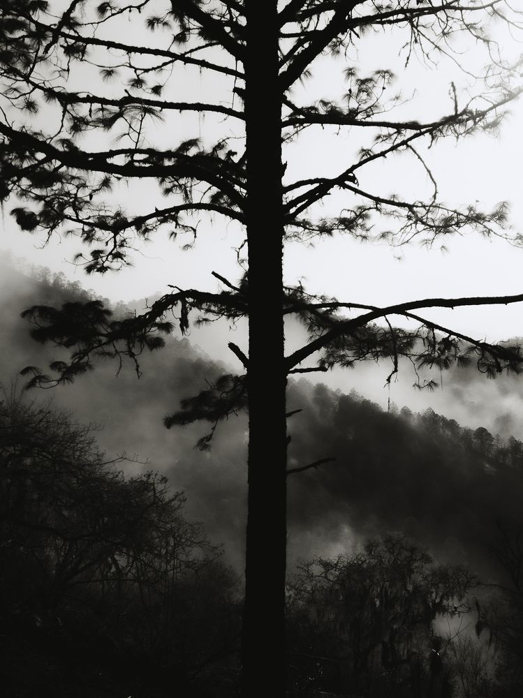 Photograph by Jose Manuel