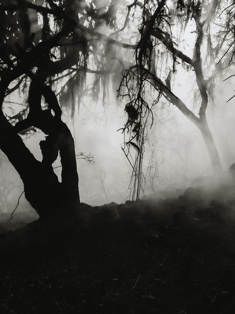 Photograph by Jose Manuel