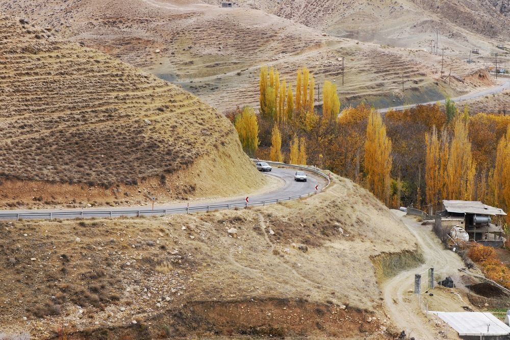 Photograph by samaneh jamali