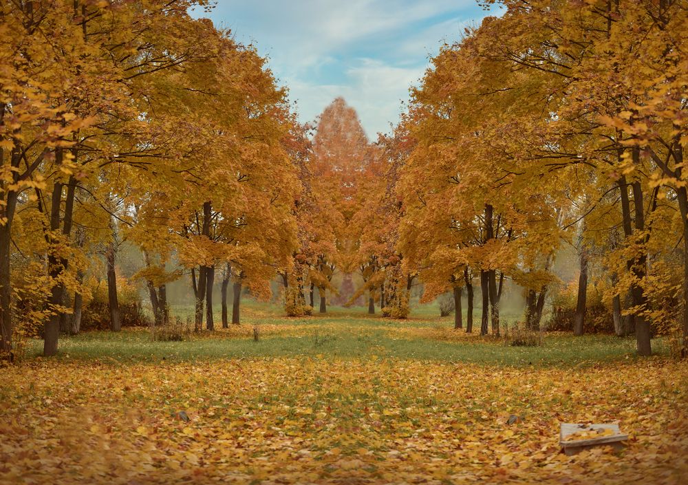 Photograph by Ирина Кленкова