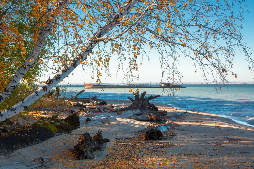 Photograph by Alex Dushutin