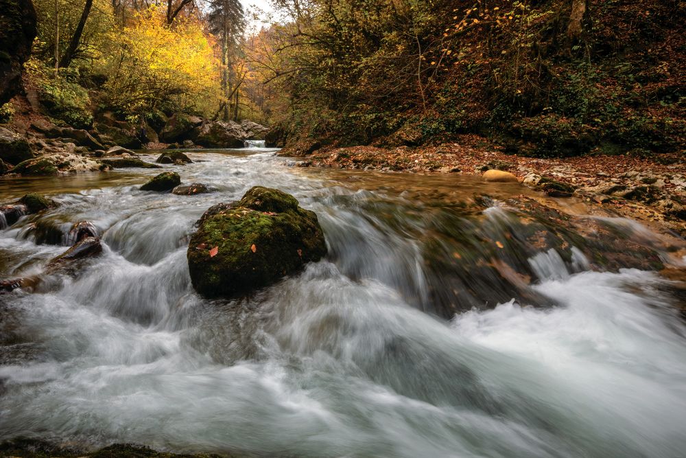 Осенний Курджипс