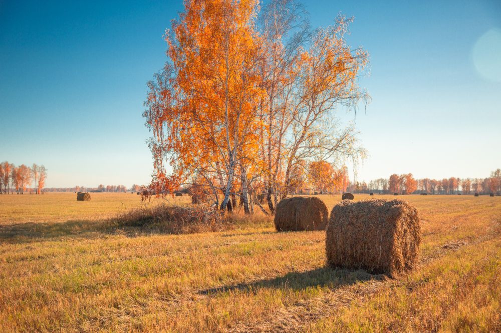 Photograph by Alex Dushutin