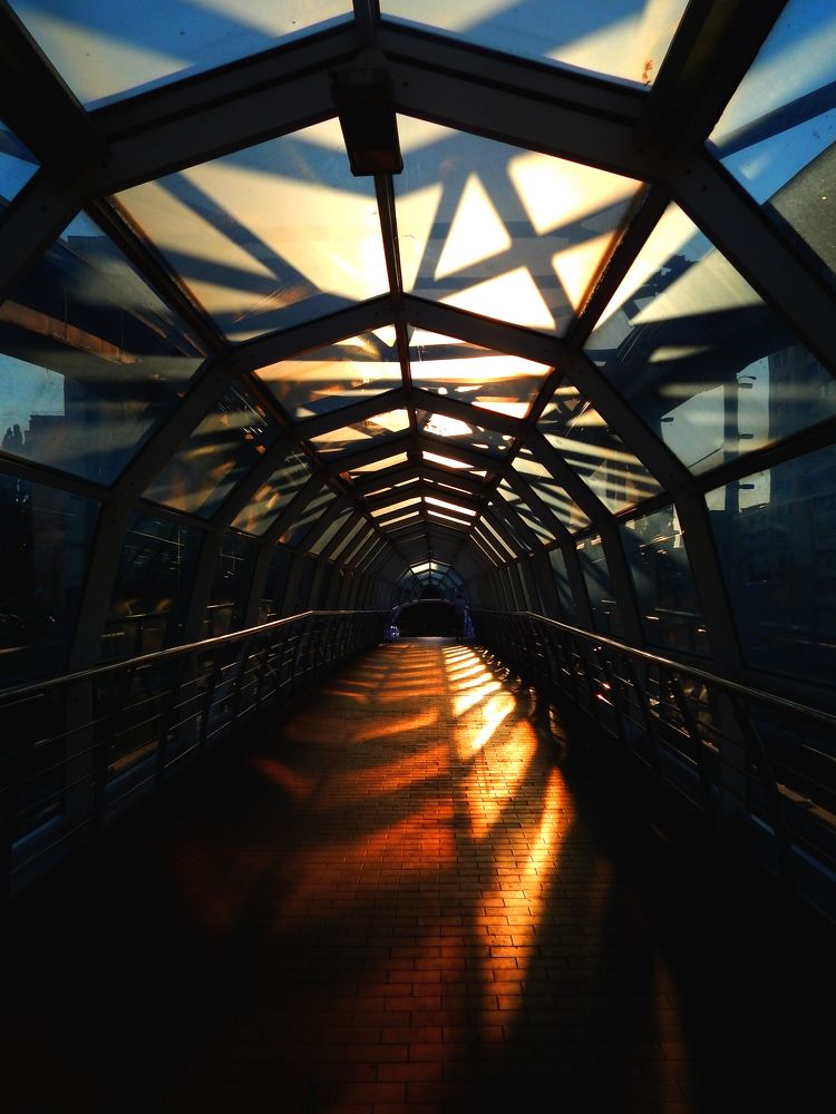 Photograph by Анастасия Моисеева