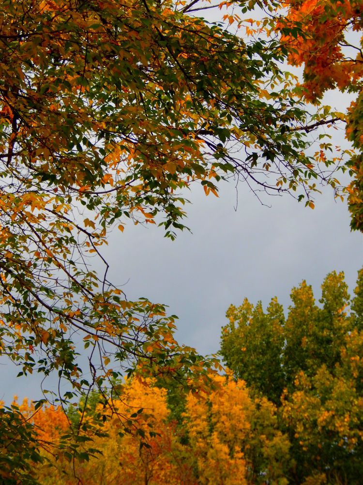 Photograph by Анастасия Моисеева