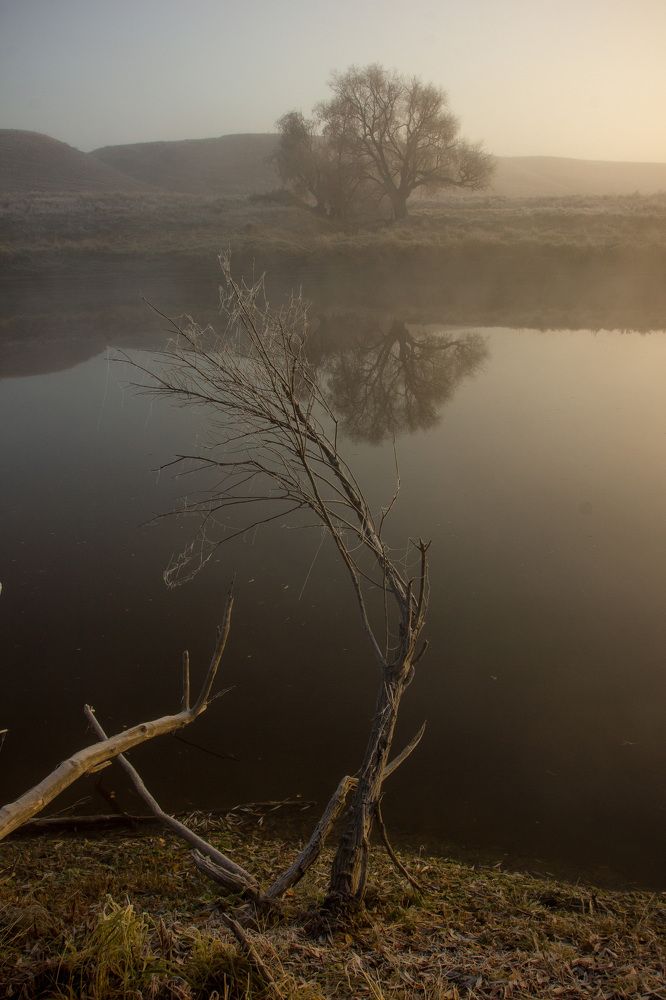 Photograph by Елена Абрамова