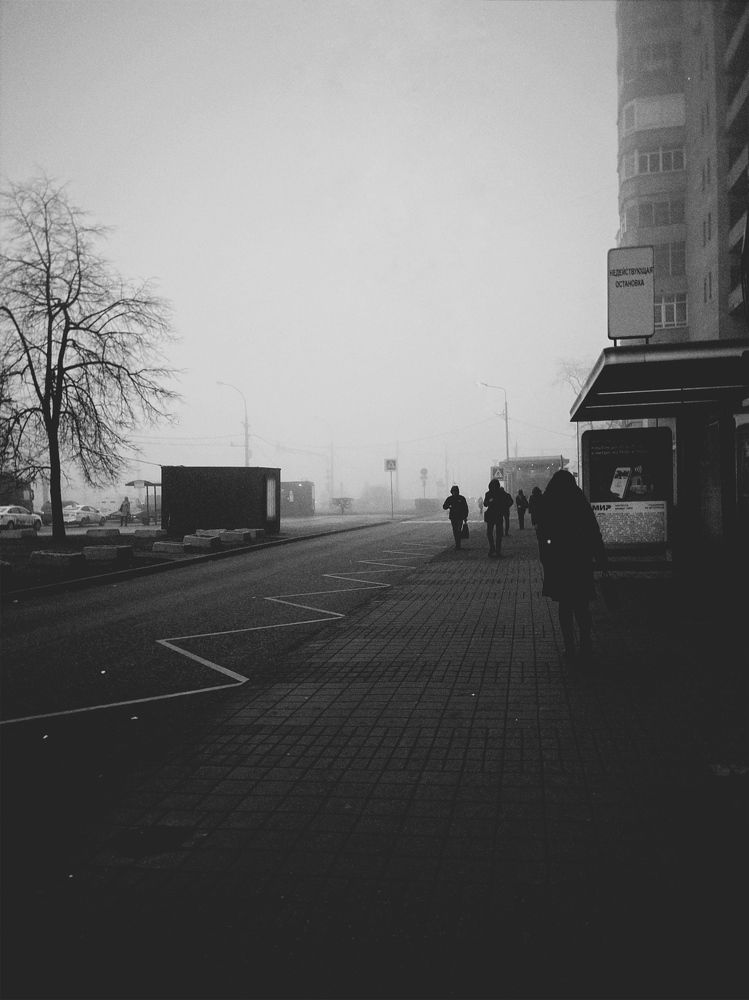 Фотография автора Anyutkin