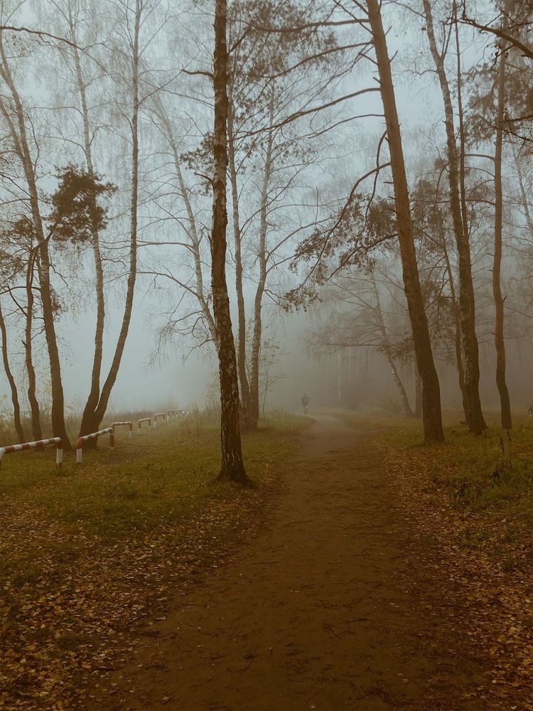 Фотография автора Anyutkin