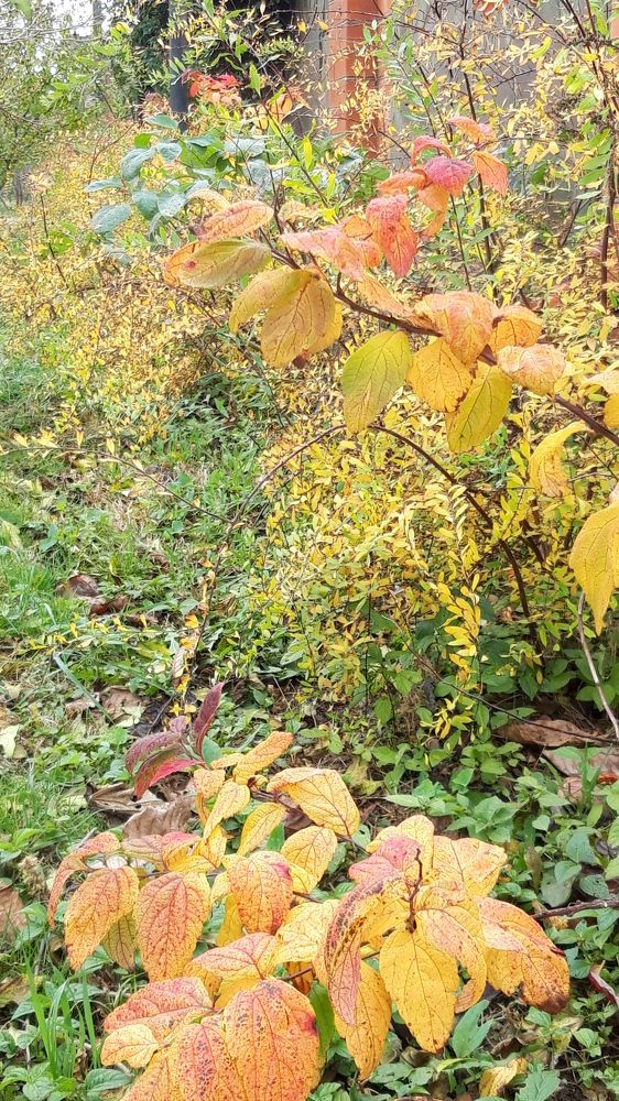 Photograph by Наталья Пусулиди