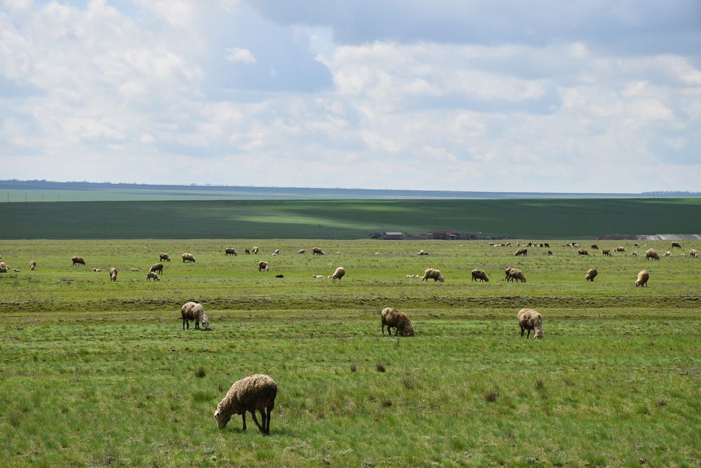 Photograph by Алина Голубева