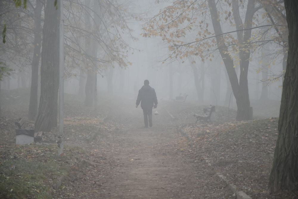 Photograph by Елена Куннова