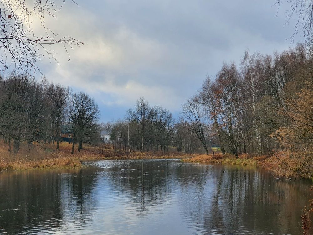 Прозрачность осени