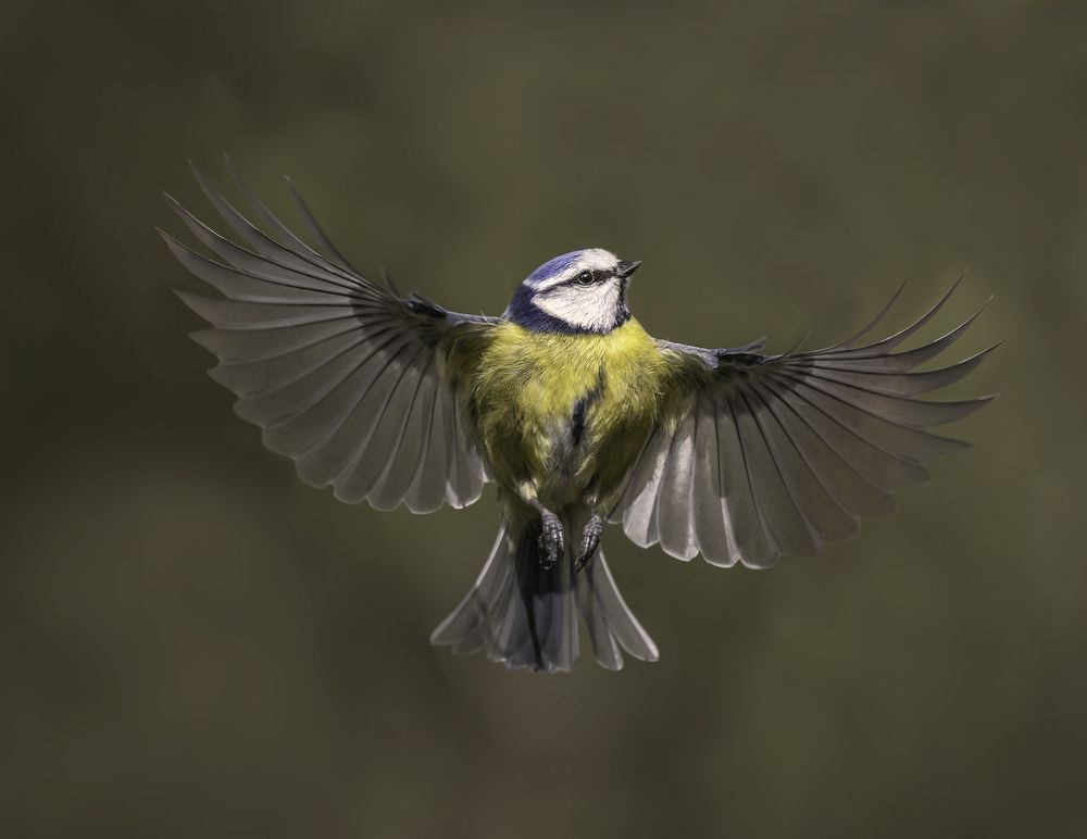 Photograph by Eddie Leach