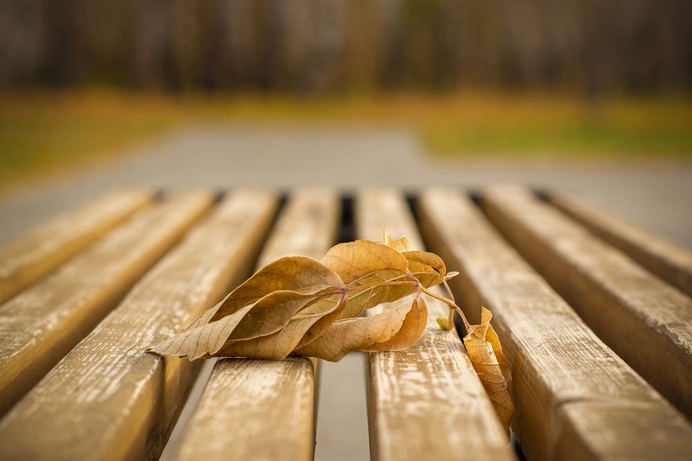 Photograph by Игорь Кутний