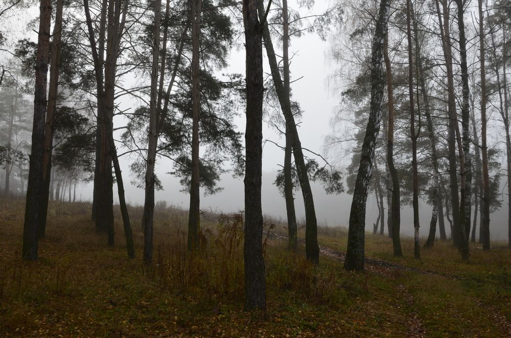 Photograph by Елена Сырцева