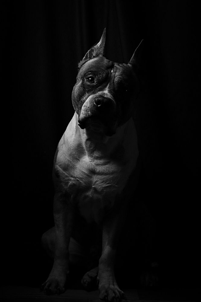 Photograph by Yanina