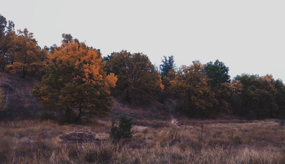 Photograph by Анастасия Моисеева