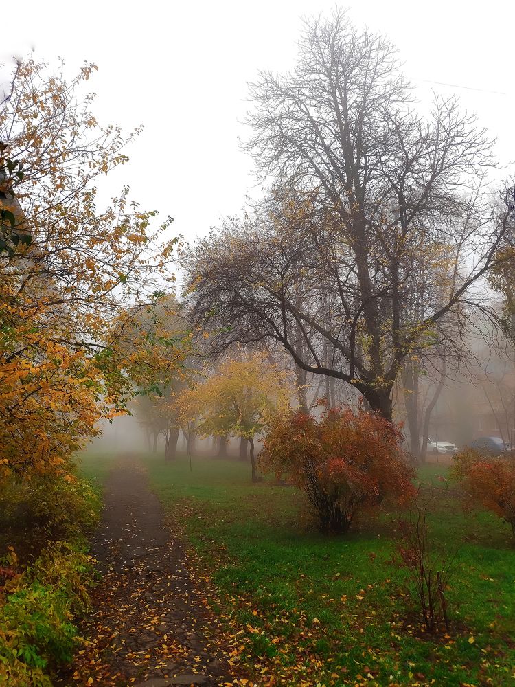 Photograph by Светлана Смирнова