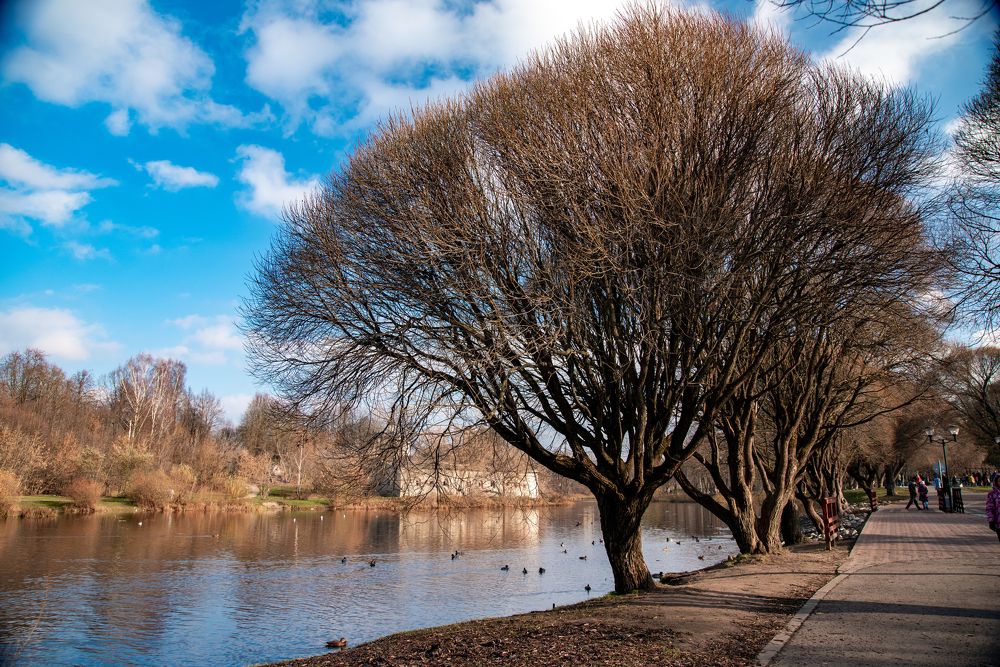 Photograph by Дмитрий Торжинский