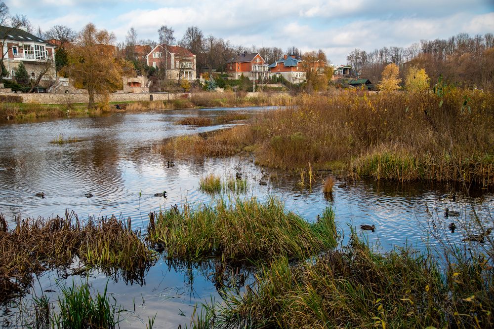 Photograph by Дмитрий Торжинский