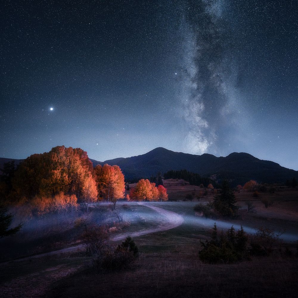 Photograph by Михаил Минков