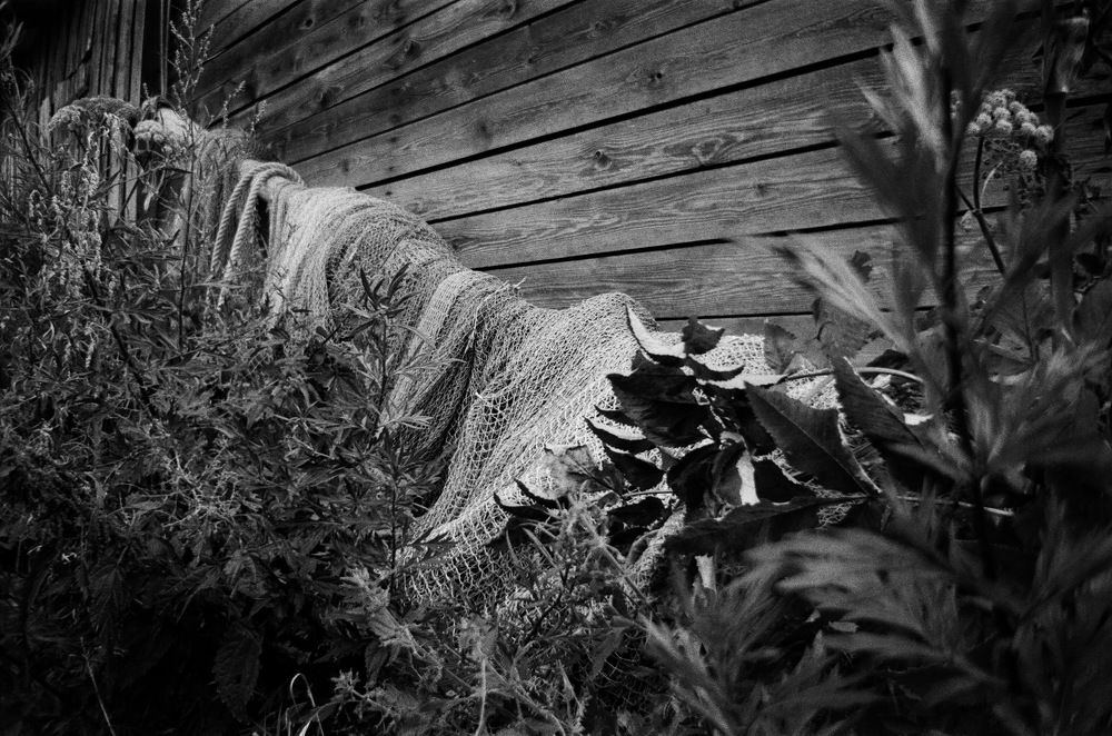 Photograph by Дмитрий Сосна