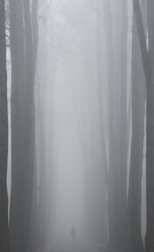 Photograph by Анастасия