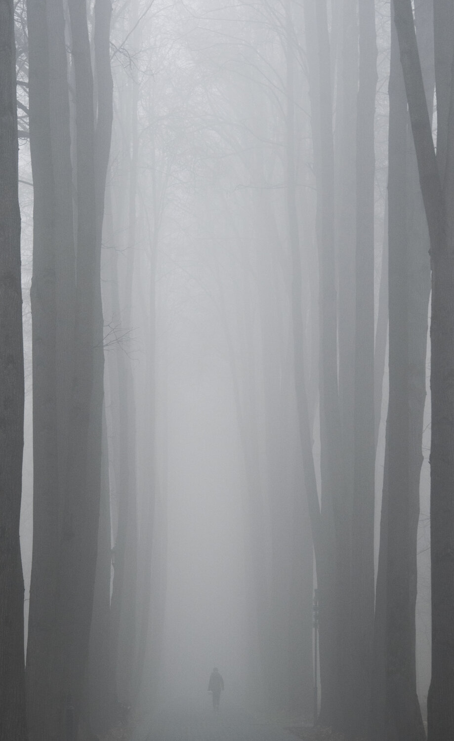 Photo #6687444