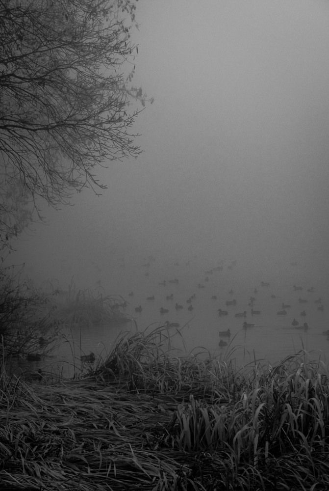 Photograph by Анастасия