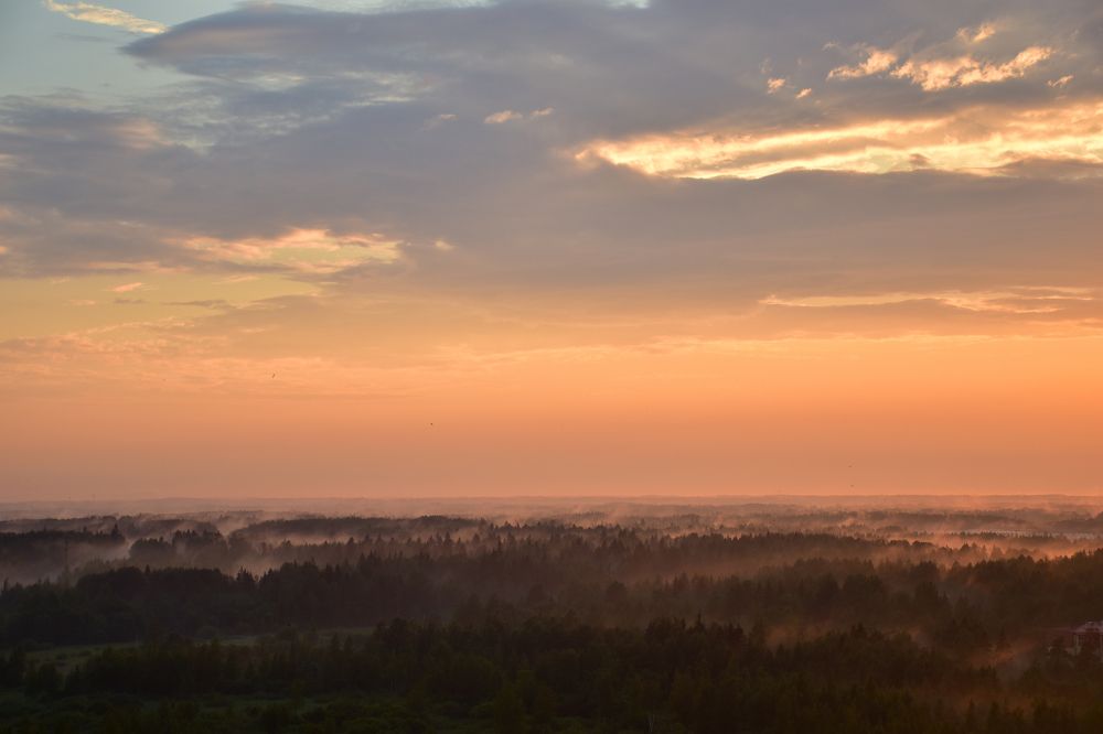 Предрассветный туман.